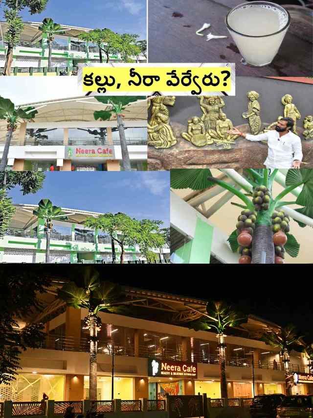 >ఏమిటీ నీరా? పోషక విలువలు ఉన్నాయా?