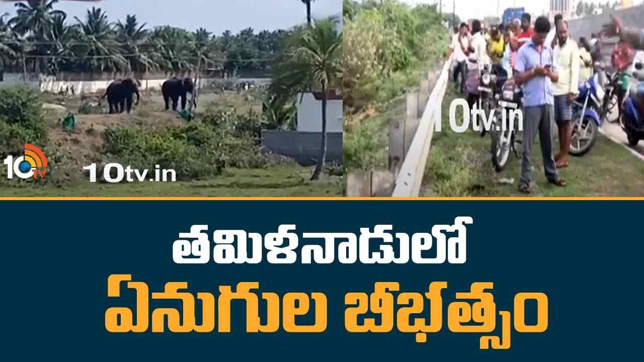 Elephants: బీభత్సం సృష్టిస్తోన్న ఏనుగులను కుప్పం అటవీ ప్రాంతం వైపునకు తరలిస్తున్న అధికారులు.. అప్రమత్తంగా ఉండాలని సూచన Elephants: బీభత్సం సృష్టిస్తోన్న ఏనుగులను కుప్పం అటవీ ప్రాంతం వైపునకు తరలిస్తున్న అధికారులు.. అప్రమత్తంగా ఉండాలని సూచన