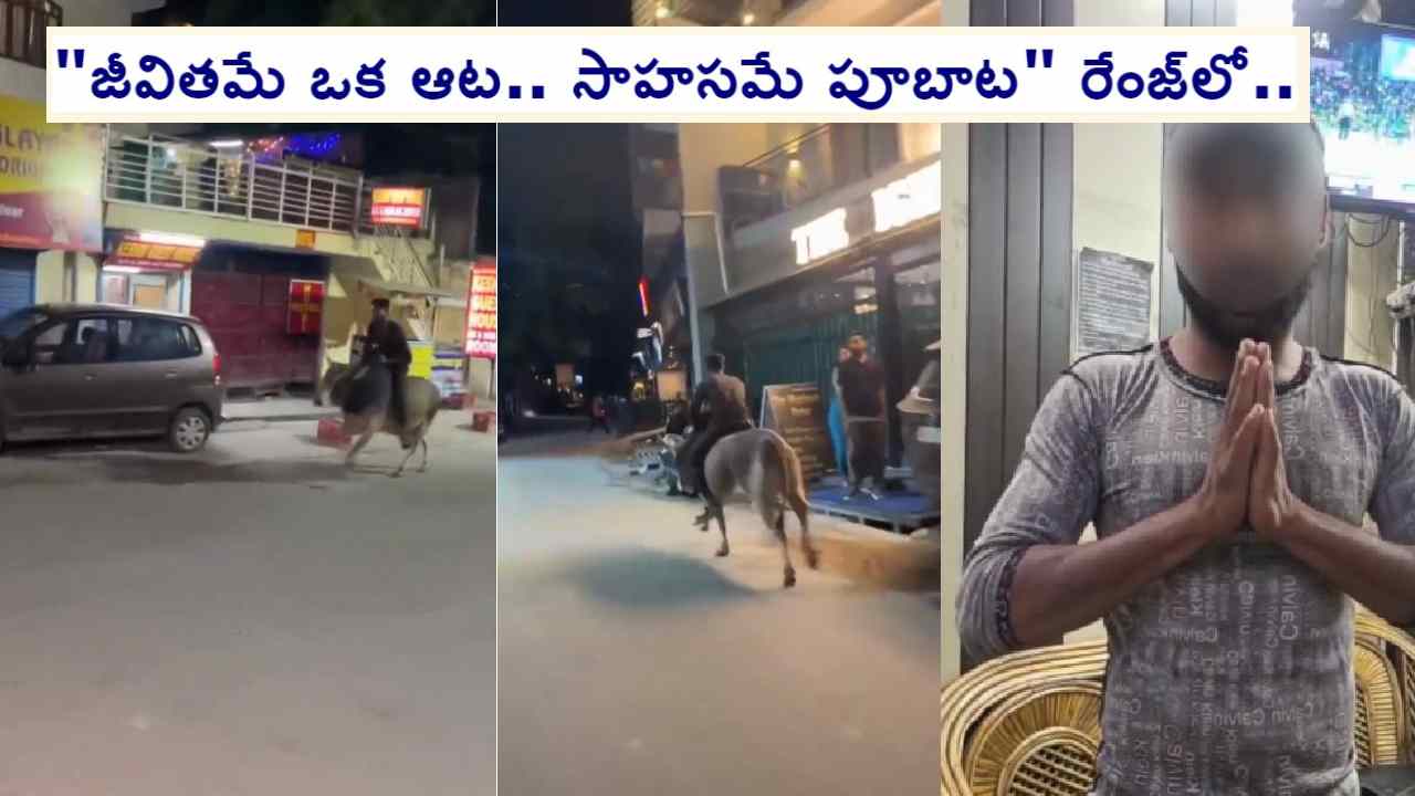 Viral Video: అర్ధరాత్రి మద్యం తాగి ఎద్దుపైకి ఎక్కి నడిరోడ్డుపై హీరోలా స్వారీ చేస్తూ.. చివరకు.. Viral Video: అర్ధరాత్రి మద్యం తాగి ఎద్దుపైకి ఎక్కి నడిరోడ్డుపై హీరోలా స్వారీ చేస్తూ.. చివరకు..