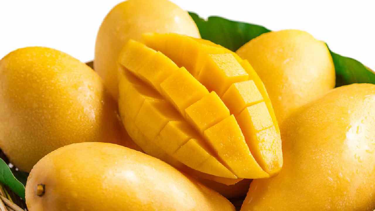Mangoes: ఒక్కో మామిడి పండును రూ.19 వేల చొప్పున అమ్ముతున్న రైతు.. ఎలాగంటే? Mangoes: ఒక్కో మామిడి పండును రూ.19 వేల చొప్పున అమ్ముతున్న రైతు.. ఎలాగంటే?
