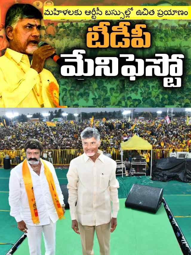 >ఏపీ ఎన్నికల మేనిఫెస్టో
