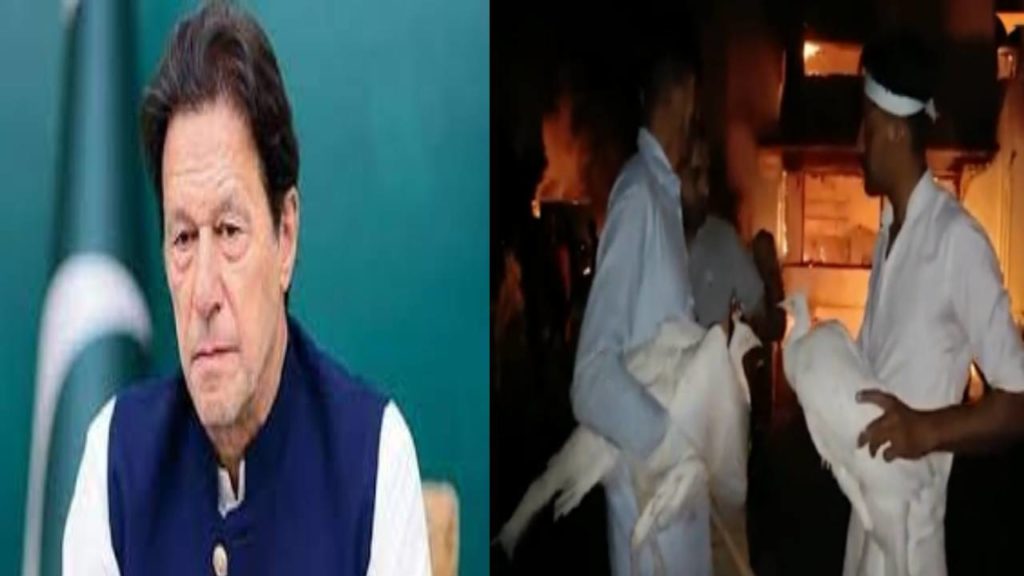 Protests by Imran Khan supporters