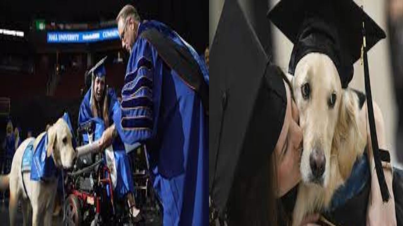 US University : యజమానితో పాటు డిప్లొమా డిగ్రీ అందుకున్న శునకం US University : యజమానితో పాటు డిప్లొమా డిగ్రీ అందుకున్న శునకం