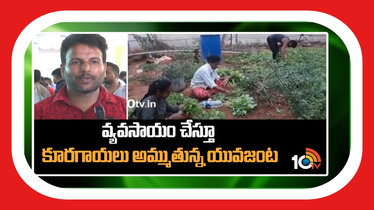 Organic Vegetable Farming : వ్యవసాయం చేస్తూ.. రైతుబజార్లో కూరగాయల అమ్ముతున్న యువజంట Organic Vegetable Farming : వ్యవసాయం చేస్తూ.. రైతుబజార్లో కూరగాయల అమ్ముతున్న యువజంట