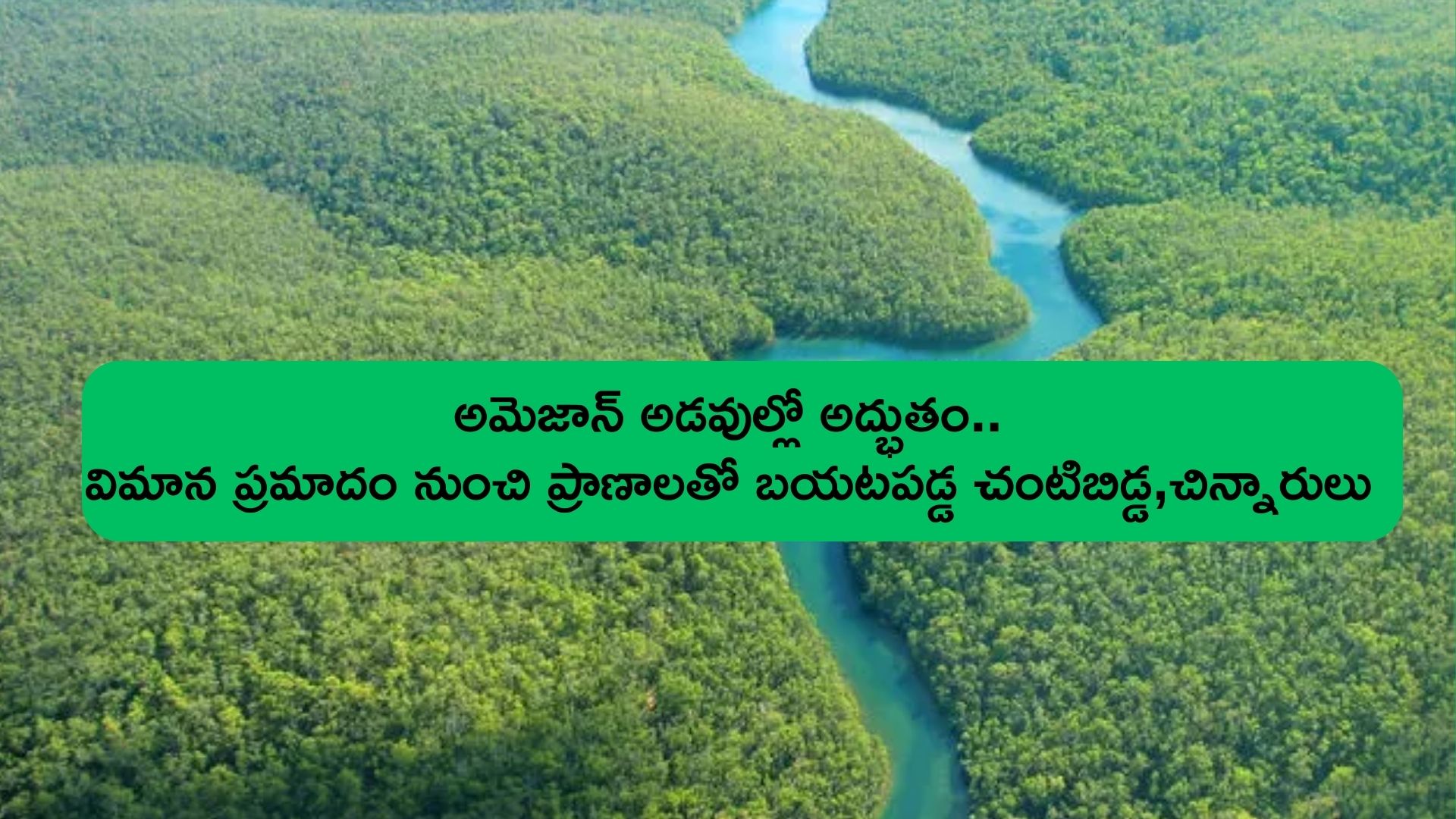 Amazon forest : అమెజాన్ అడవుల్లో కూలిన విమానం .. రెండువారాలకు చంటిబిడ్డతో సహా ప్రాణాలతో బయటపడ్డ నలుగురు చిన్నారులు Amazon forest : అమెజాన్ అడవుల్లో కూలిన విమానం .. రెండువారాలకు చంటిబిడ్డతో సహా ప్రాణాలతో బయటపడ్డ నలుగురు చిన్నారులు