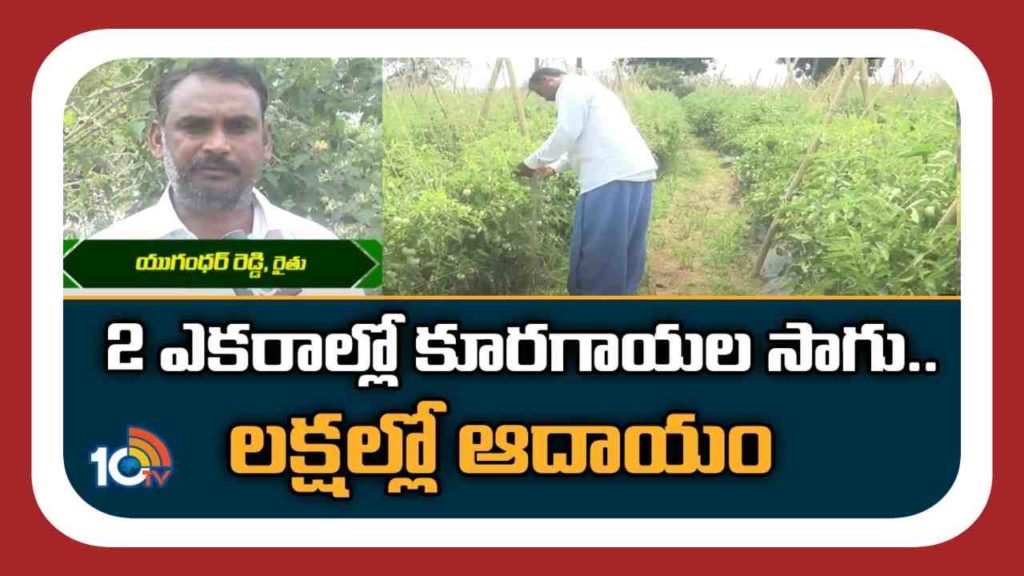 Profits in Vegetable Farming