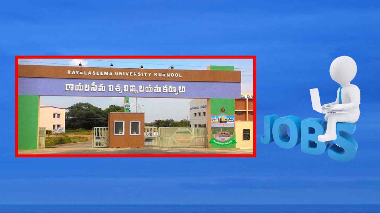 Rayalaseema University Recruitment : రాయలసీమ యూనివర్శిటీలో అసిస్టెంట్ ప్రొఫెసర్ పోస్టుల భర్తీ Rayalaseema University Recruitment : రాయలసీమ యూనివర్శిటీలో అసిస్టెంట్ ప్రొఫెసర్ పోస్టుల భర్తీ
