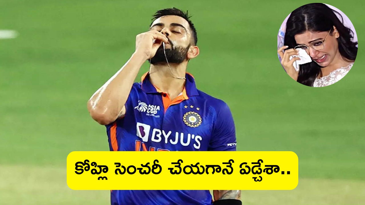 Samantha: విరాట్ కోహ్లి శతకం చేయగానే ఏడుపు ఆగలేదు.. అతడే నాకు స్పూర్తి Samantha: విరాట్ కోహ్లి శతకం చేయగానే ఏడుపు ఆగలేదు.. అతడే నాకు స్పూర్తి