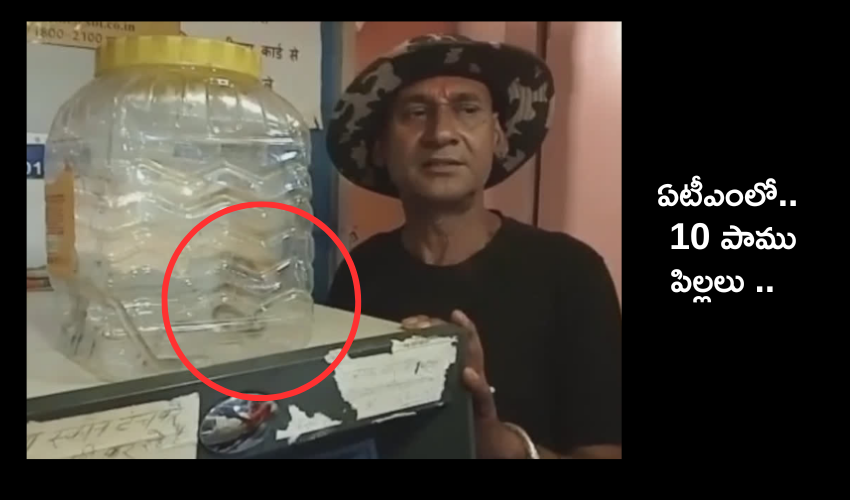 Snakes in ATM