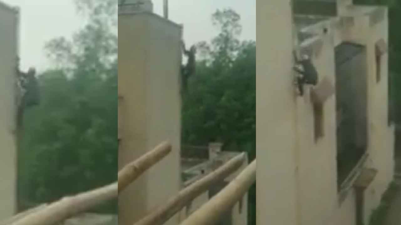 Spiderman Thief : ఓ మై గాడ్.. స్పైడర్ మ్యాన్లా నిమిషంలోపే నాలుగంతస్తుల బిల్డింగ్ ఎక్కేసిన దొంగ.. వీడియో వైరల్ Spiderman Thief : ఓ మై గాడ్.. స్పైడర్ మ్యాన్లా నిమిషంలోపే నాలుగంతస్తుల బిల్డింగ్ ఎక్కేసిన దొంగ.. వీడియో వైరల్