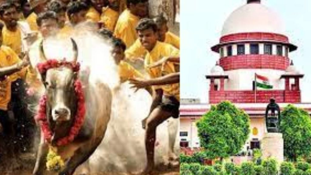 Tamil Nadu jallikattu sport