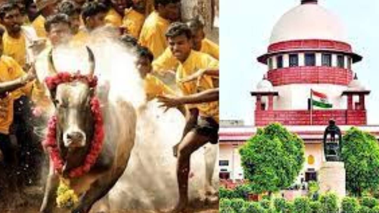Supreme Court Permission : జల్లికట్టు క్రీడకు సుప్రీంకోర్టు గ్రీన్ సిగ్నల్.. తమిళనాడు ప్రభుత్వ సవరణలను సమర్థించిన ధర్మాసనం Supreme Court Permission : జల్లికట్టు క్రీడకు సుప్రీంకోర్టు గ్రీన్ సిగ్నల్.. తమిళనాడు ప్రభుత్వ సవరణలను సమర్థించిన ధర్మాసనం