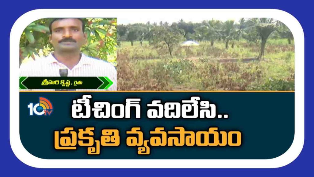 Teacher To Organic Farmer