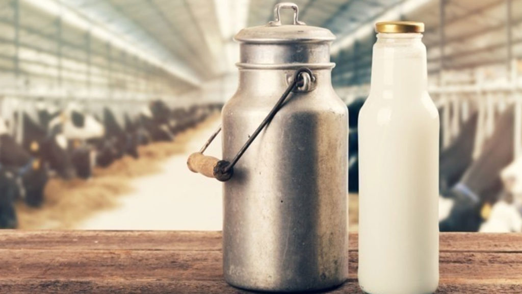 Hundreds of people are rushing to the hospital after drinking the buffalo milk bitten by the dog