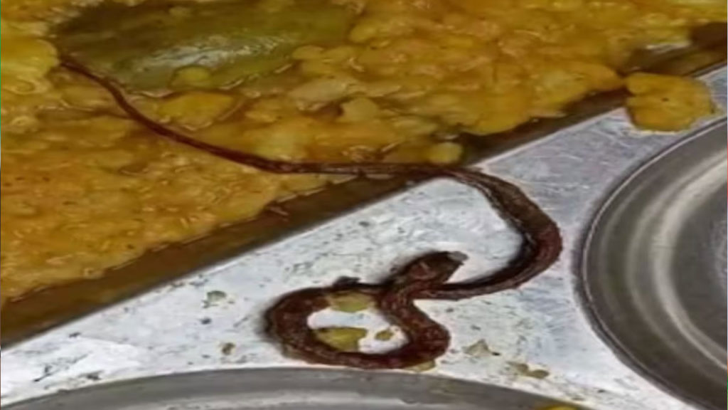 Snake Found in Khichdi Served to Students, Many Fall Sick