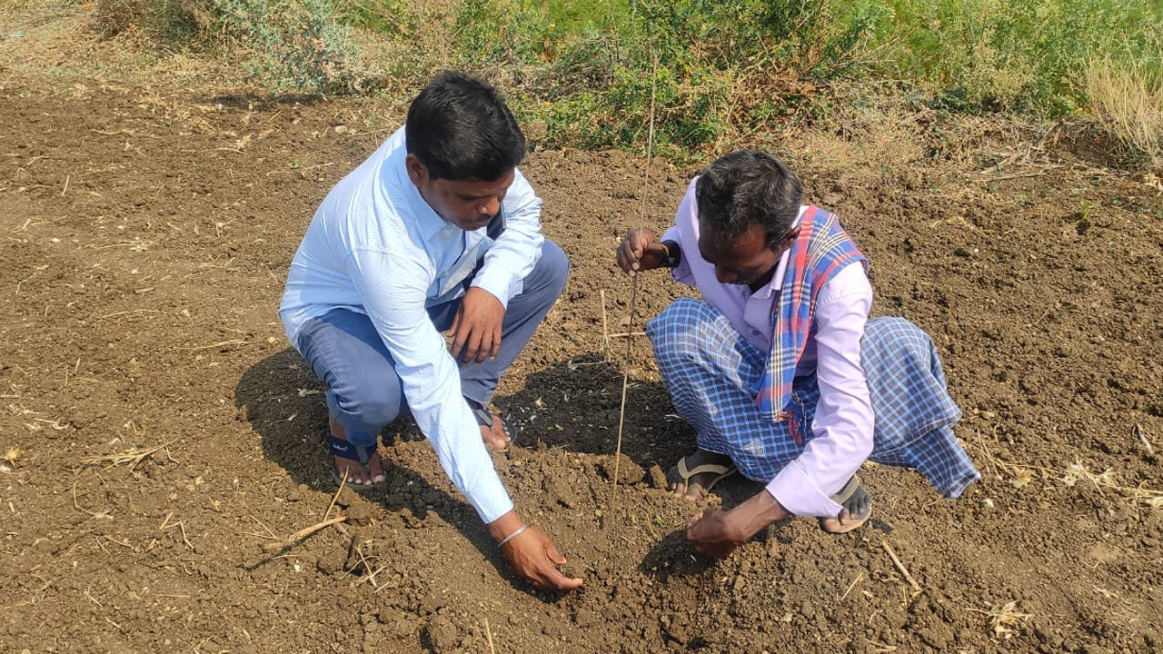 Better Cotton Initiative project: పత్తి పంట నాణ్యత మెరుగుపరిచేందుకు బెటర్ కాటన్ ఇనీషియేటివ్ ప్రాజెక్ట్ను ప్రారంభం Better Cotton Initiative project: పత్తి పంట నాణ్యత మెరుగుపరిచేందుకు బెటర్ కాటన్ ఇనీషియేటివ్ ప్రాజెక్ట్ను ప్రారంభం