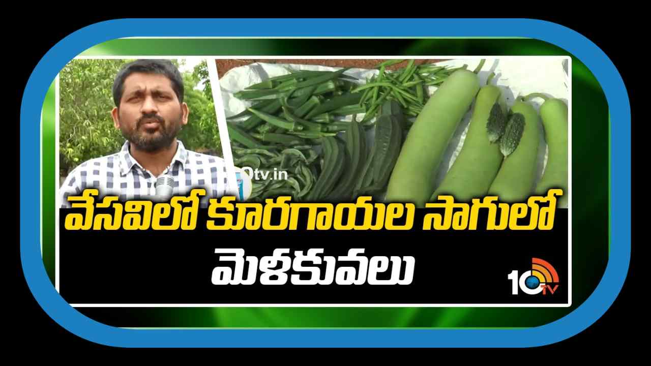 Vegetable Farming : వేసవిలో కూరగాయల సాగు.. అధిక దిగుబడుల కోసం చేపట్టాల్సిన యాజమాన్యం Vegetable Farming : వేసవిలో కూరగాయల సాగు.. అధిక దిగుబడుల కోసం చేపట్టాల్సిన యాజమాన్యం