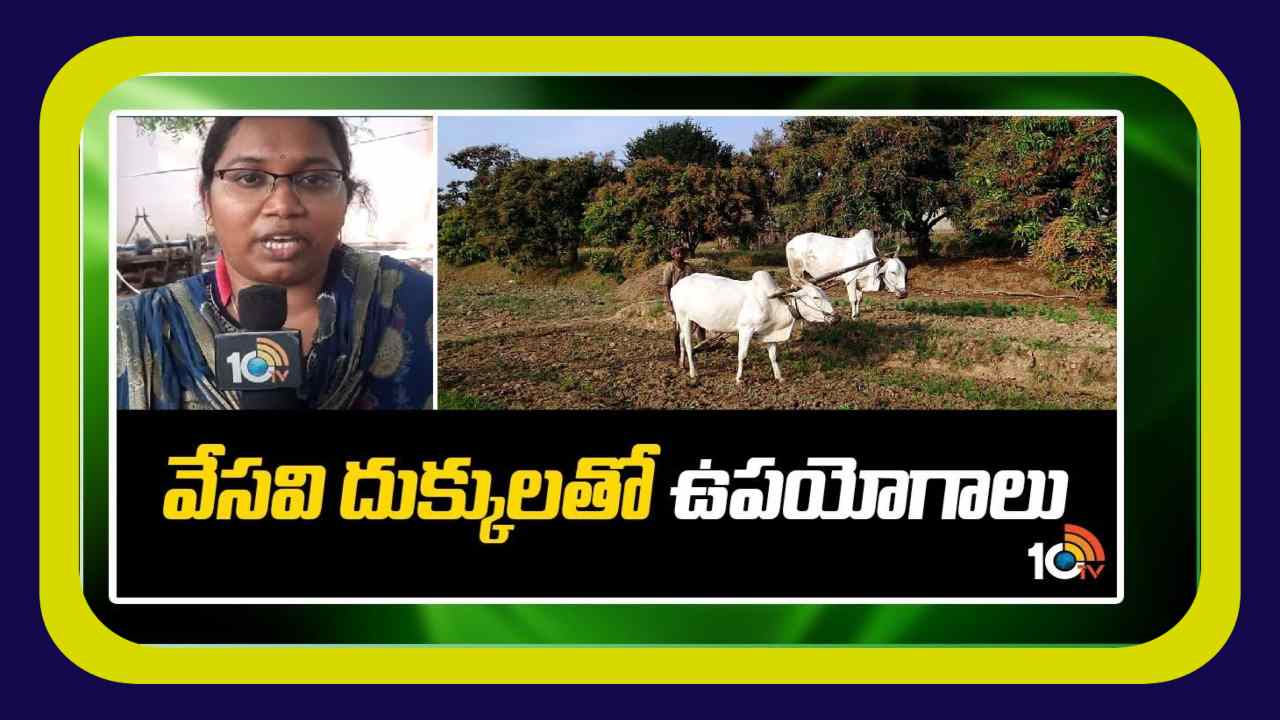 Vesavi Dukkulu : వేసవి దుక్కులతో ఉపయోగాలు Vesavi Dukkulu : వేసవి దుక్కులతో ఉపయోగాలు