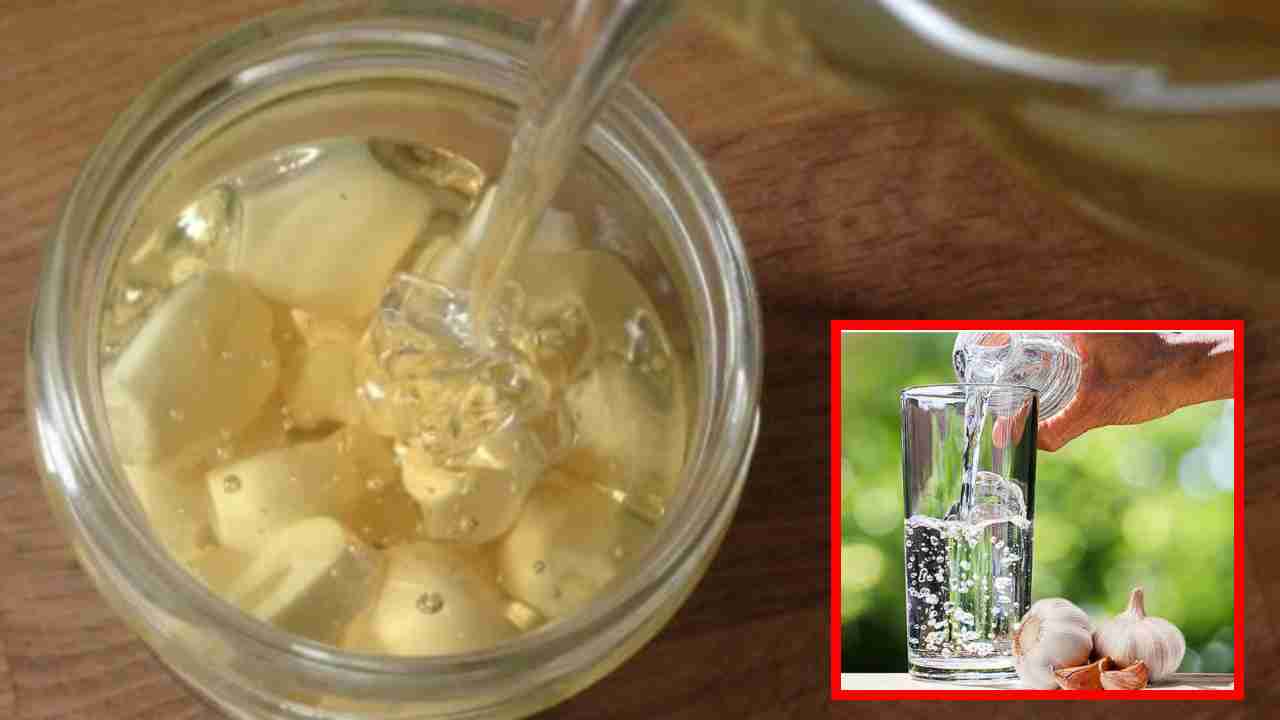 Garlic Water : ఖాళీ కడుపుతో వెల్లుల్లి నీరు త్రాగడం వల్ల కలిగే ప్రయోజనాలు? Garlic Water : ఖాళీ కడుపుతో వెల్లుల్లి నీరు త్రాగడం వల్ల కలిగే ప్రయోజనాలు?