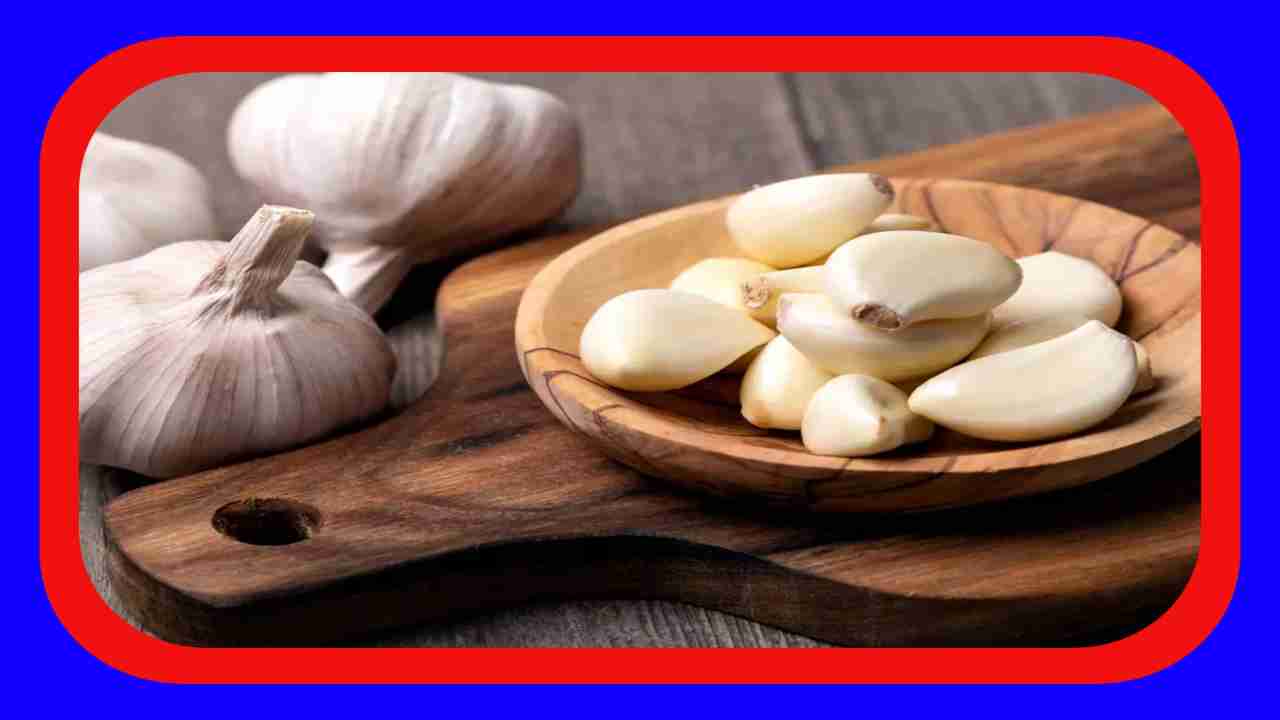 Benefits Of Garlic : క్యాన్సర్ నివారణకు, జీర్ణక్రియ ఆరోగ్యం మెరుగుపరచటంలో వెల్లుల్లి ఆరోగ్య ప్రయోజనాలు ! Benefits Of Garlic : క్యాన్సర్ నివారణకు, జీర్ణక్రియ ఆరోగ్యం మెరుగుపరచటంలో వెల్లుల్లి ఆరోగ్య ప్రయోజనాలు !