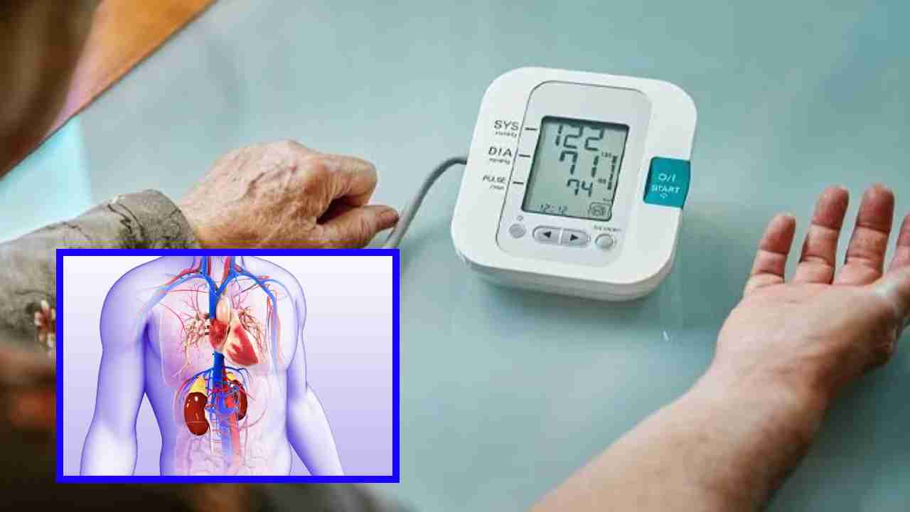 High Blood Pressure : హైబీపీ మీ గుండెను మాత్రమే కాదు.. మూత్రపిండాలు, కాలేయంపై కూడా ప్రభవం చూపిస్తుంది High Blood Pressure : హైబీపీ మీ గుండెను మాత్రమే కాదు.. మూత్రపిండాలు, కాలేయంపై కూడా ప్రభవం చూపిస్తుంది