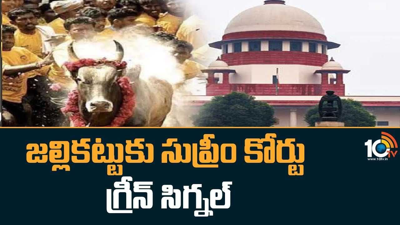 Jallikattu :జల్లికట్టుకు సుప్రీం కోర్టు గ్రీన్ సిగ్నల్