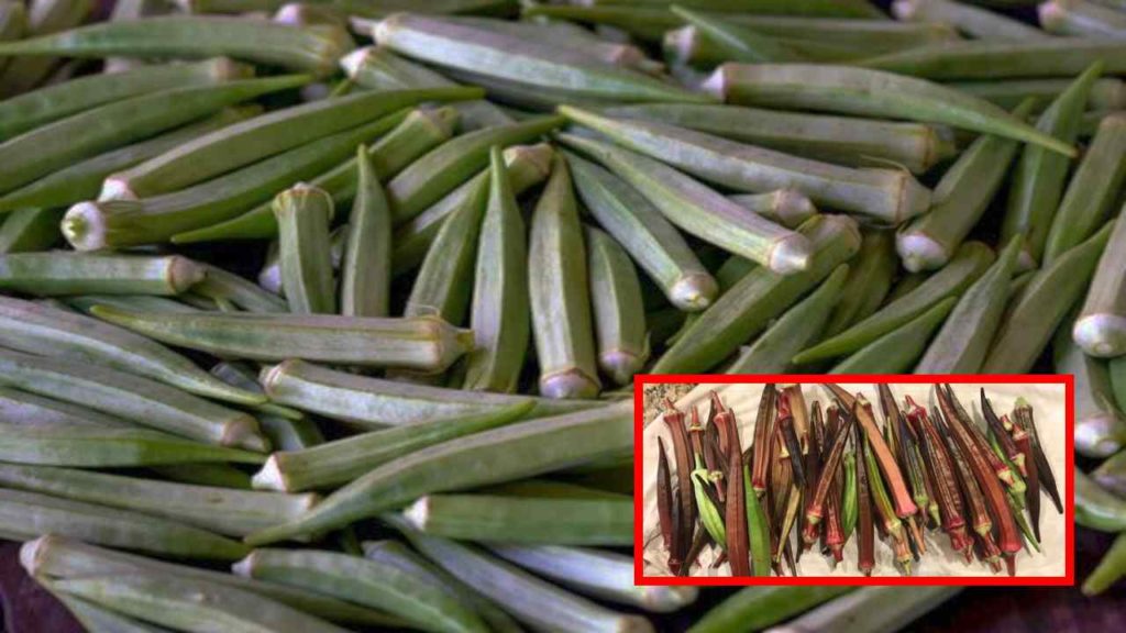 okra
