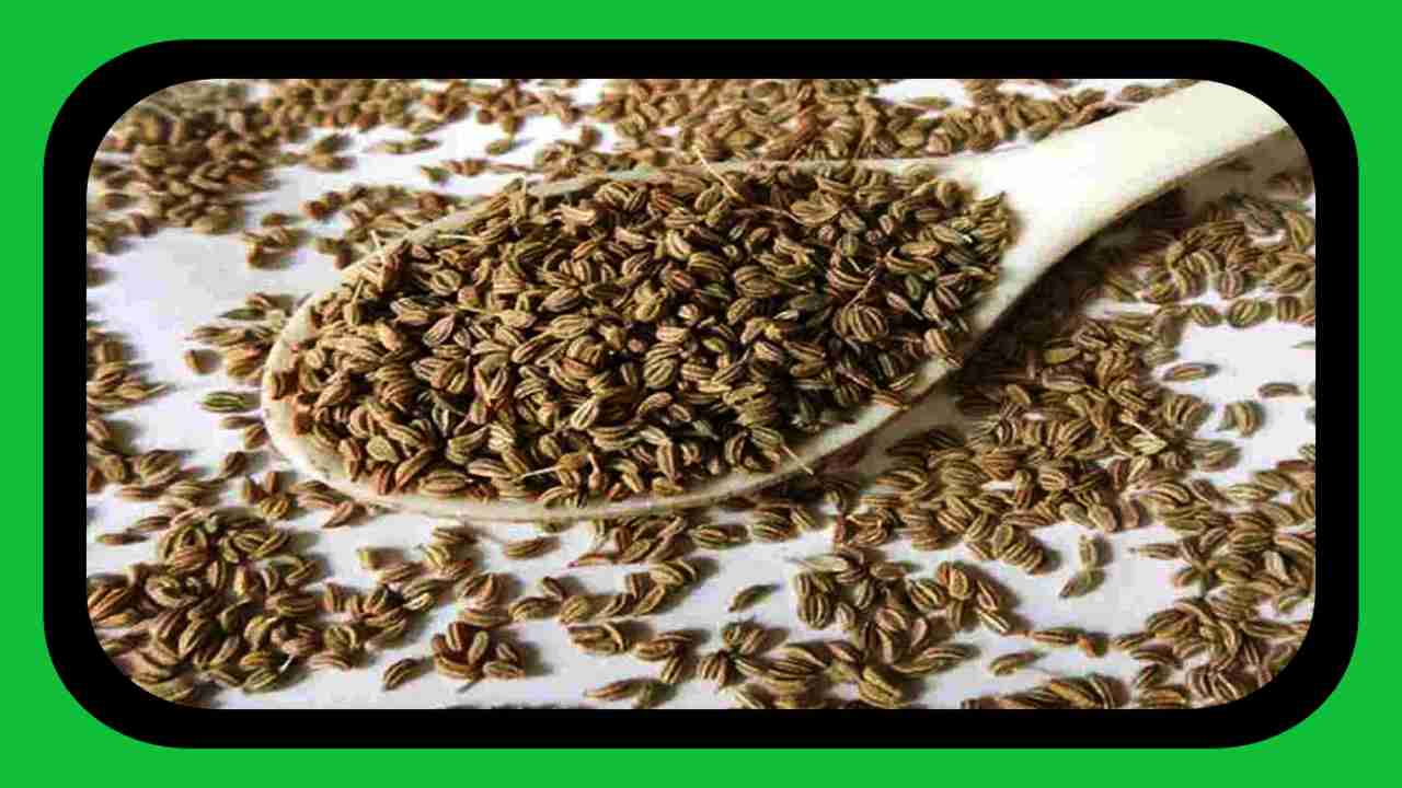 Ajwain Benefits : ఆటో ఇమ్యూన్ డిజార్డర్కి శక్తివంతమైన నివారణిగా తోడ్పడే వాము ! Ajwain Benefits : ఆటో ఇమ్యూన్ డిజార్డర్కి శక్తివంతమైన నివారణిగా తోడ్పడే వాము !