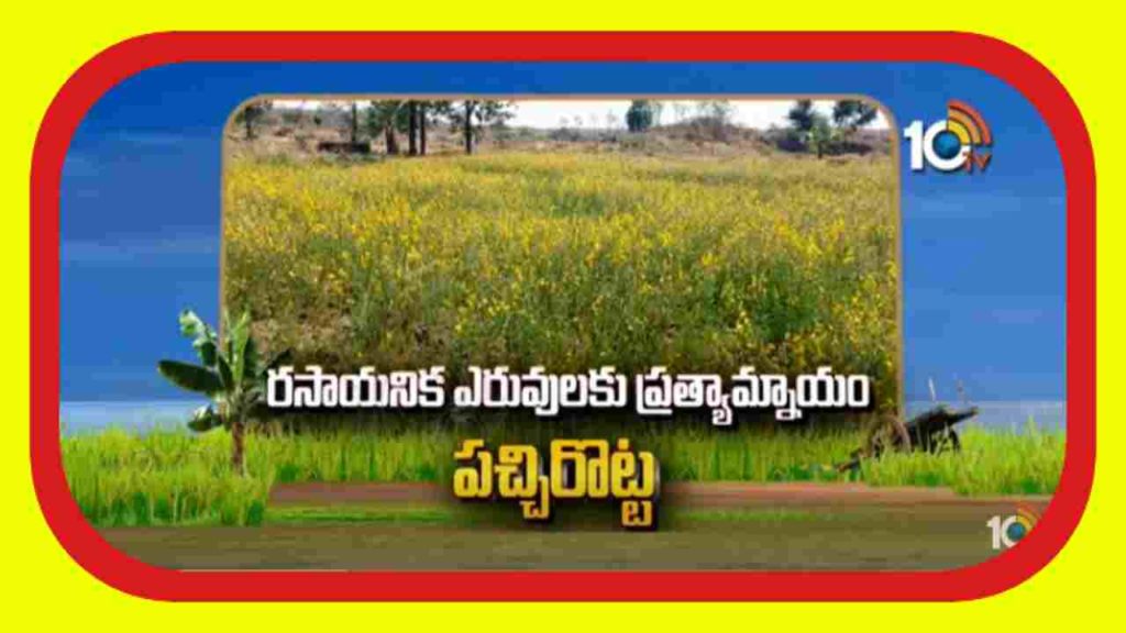 Alternative to Chemical Fertilizers
