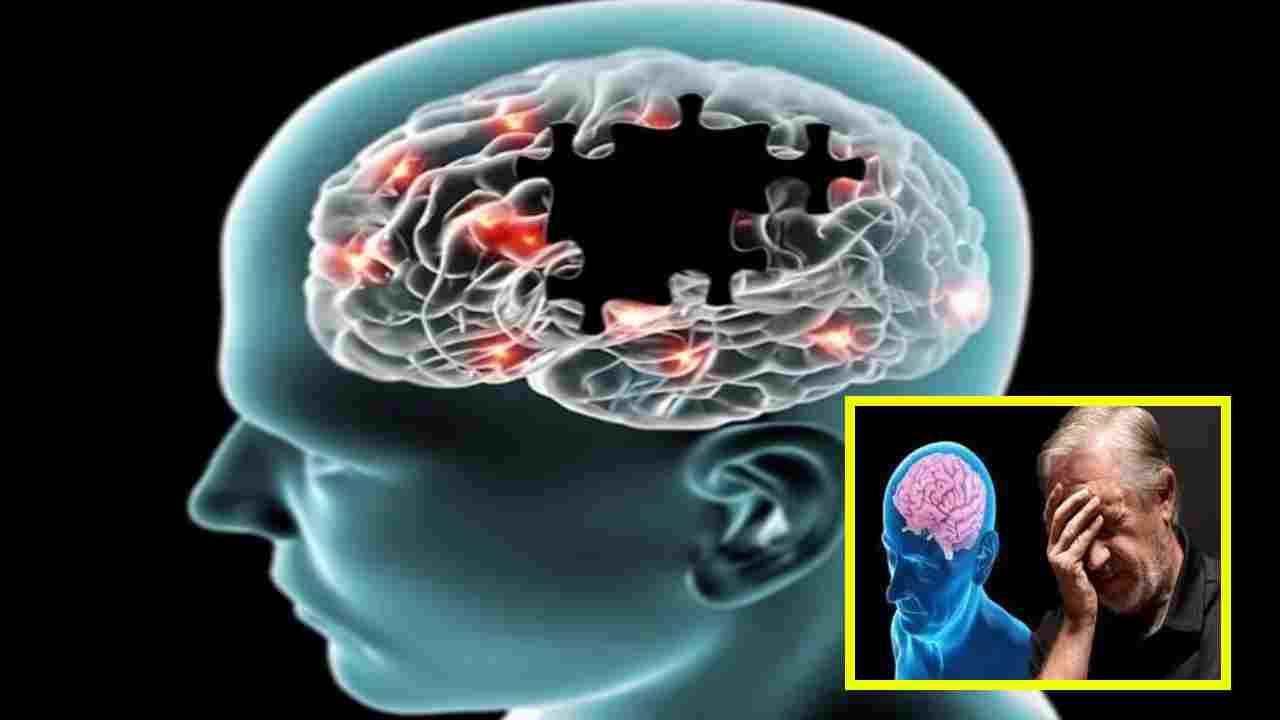 Alzheimer’s Disease : మెంథాల్ పీల్చడం అల్జీమర్స్ వ్యాధి ఉన్నవారిలో జ్ఞాపకశక్తిని మెరుగుపరచడంలో సహాయపడుతుందా? Alzheimer’s Disease : మెంథాల్ పీల్చడం అల్జీమర్స్ వ్యాధి ఉన్నవారిలో జ్ఞాపకశక్తిని మెరుగుపరచడంలో సహాయపడుతుందా?