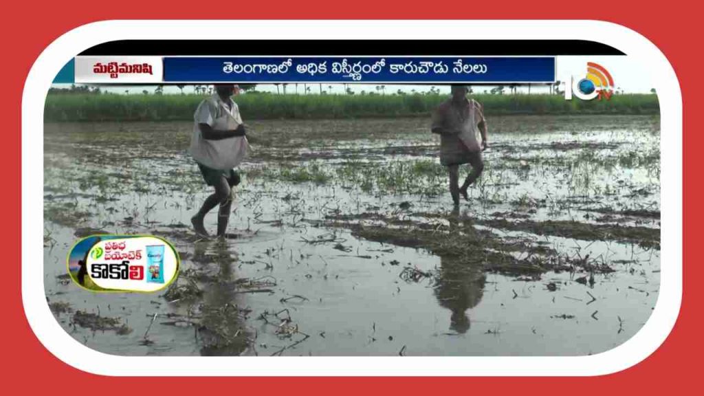 Arable Land