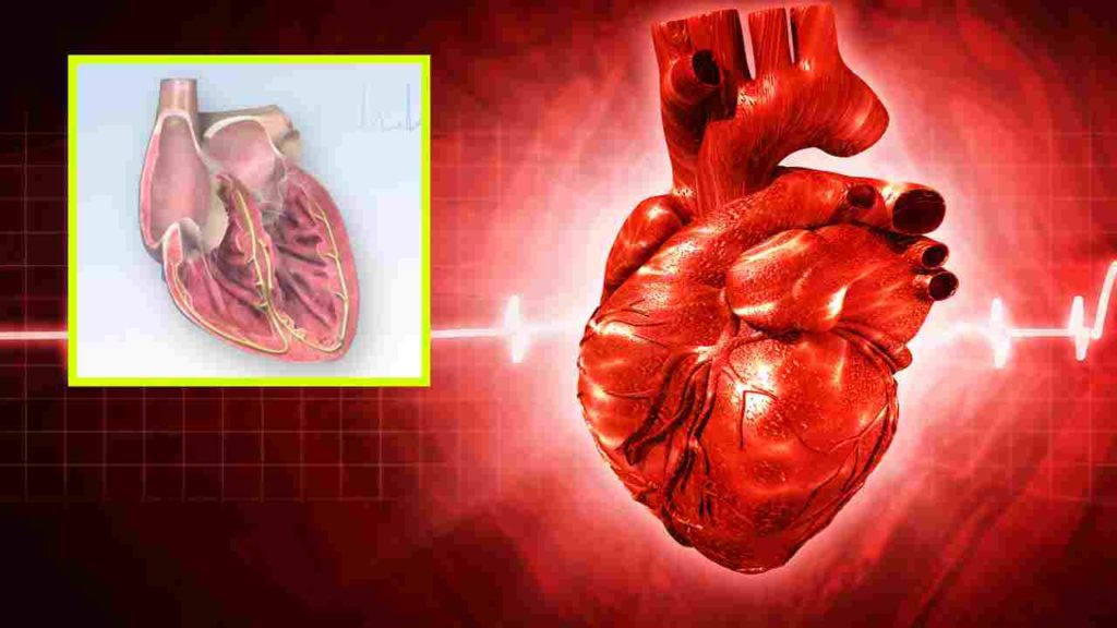 Arrhythmias
