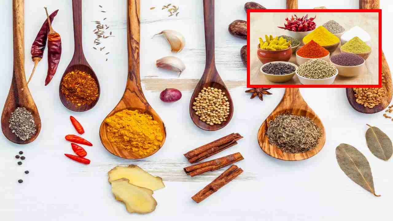 Boost Your Immunity : ప్రతి సీజన్లో మీ రోగనిరోధక శక్తిని పెంచేందుకు దోహదపడే 10 సుగంధ ద్రవ్యాలు ! Boost Your Immunity : ప్రతి సీజన్లో మీ రోగనిరోధక శక్తిని పెంచేందుకు దోహదపడే 10 సుగంధ ద్రవ్యాలు !