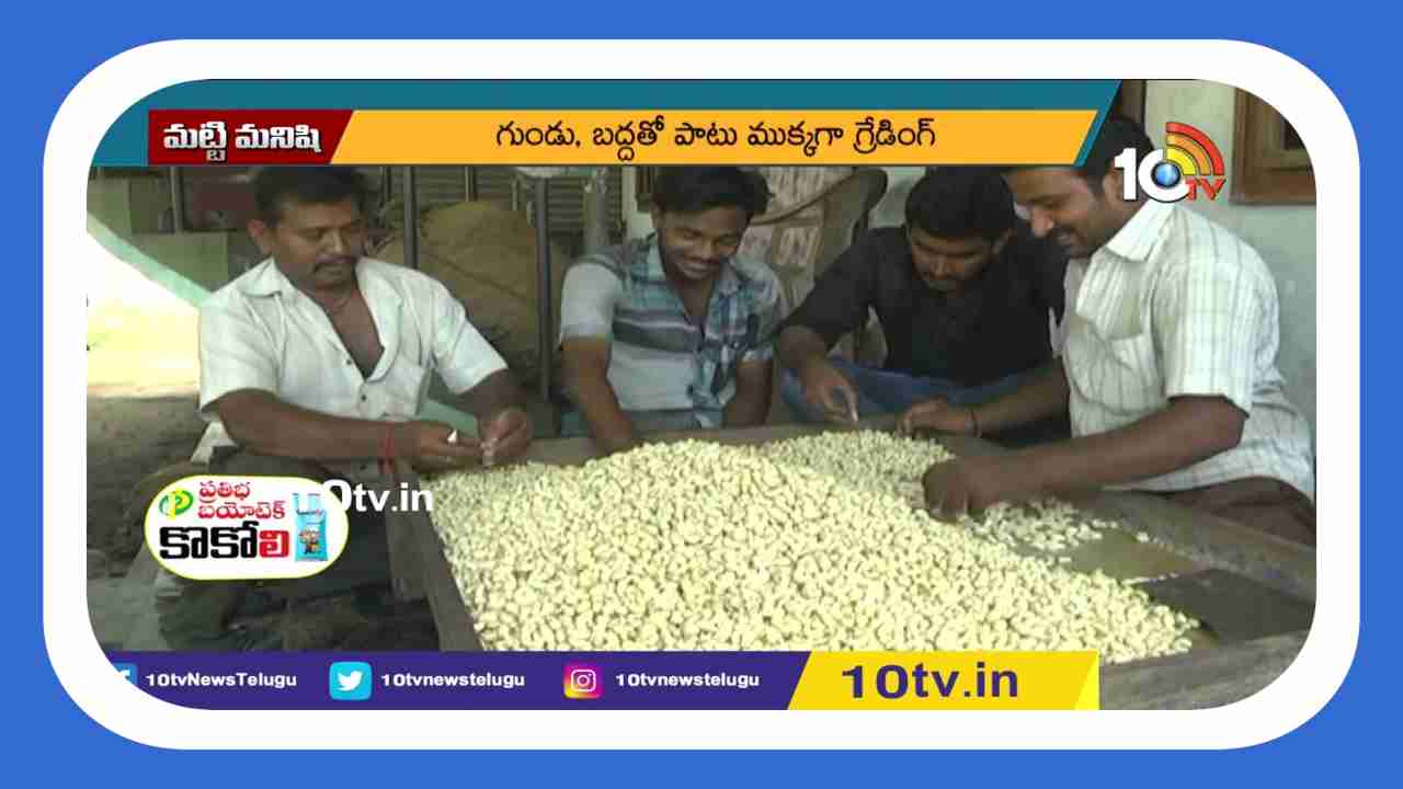 Cashew Manufacturing : కుటీర పరిశ్రమగా జీడిపప్పు తయారీ.. సంప్రదాయ పద్దతిలోనే పప్పు తయారీ చేస్తున్న వ్యాపారులు Cashew Manufacturing : కుటీర పరిశ్రమగా జీడిపప్పు తయారీ.. సంప్రదాయ పద్దతిలోనే పప్పు తయారీ చేస్తున్న వ్యాపారులు