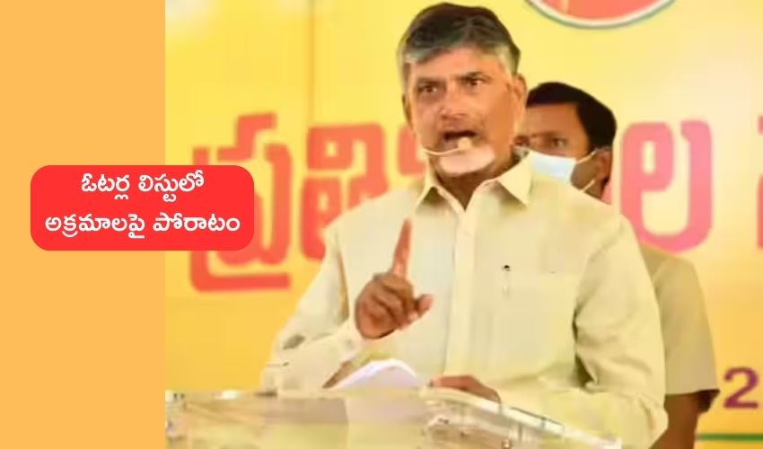 Chandrababu AP voter list