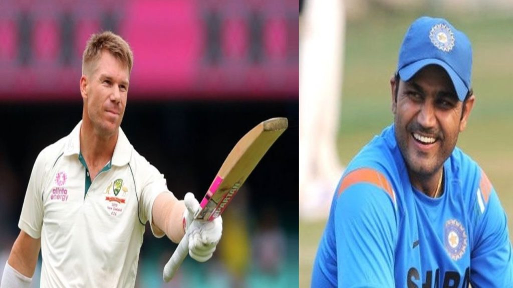 David Warner - Virender Sehwag