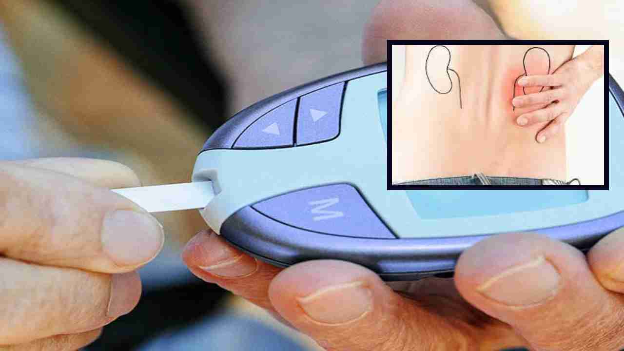 Diabetic Nephropathy : డయాబెటిస్ ఉన్నవారు కిడ్నీ సమస్యలను ఎదుర్కోవటం ఎలాగంటే ? Diabetic Nephropathy : డయాబెటిస్ ఉన్నవారు కిడ్నీ సమస్యలను ఎదుర్కోవటం ఎలాగంటే ?