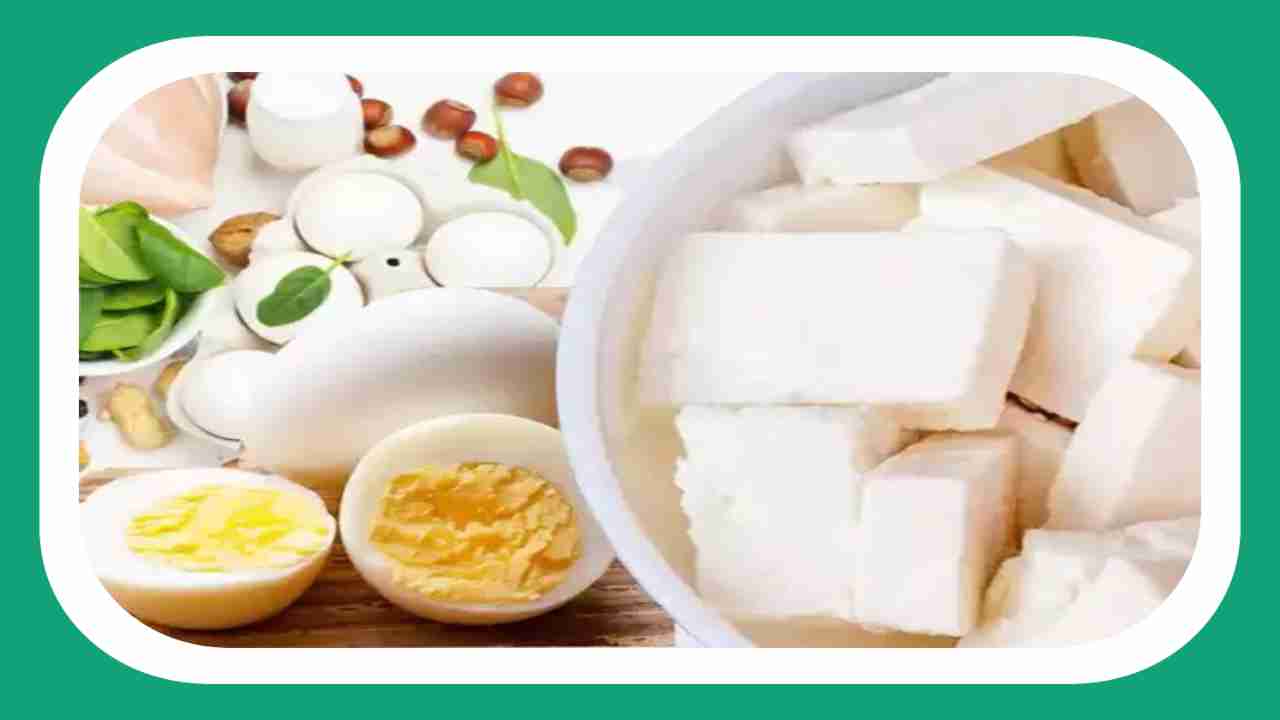 Eggs vs Paneer : గుడ్లు vs పనీర్ ఈ రెండింటిలో ప్రొటీన్కు మంచి మూలం ఏది? Eggs vs Paneer : గుడ్లు vs పనీర్ ఈ రెండింటిలో ప్రొటీన్కు మంచి మూలం ఏది?