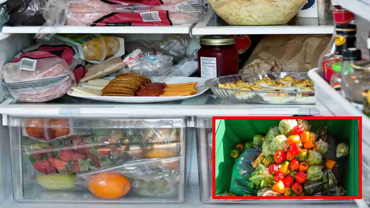 Fast Spoiling Foods : బయట ఉంచినప్పుడు త్వరగా చెడిపోయే ఆహారాలు ! Fast Spoiling Foods : బయట ఉంచినప్పుడు త్వరగా చెడిపోయే ఆహారాలు !