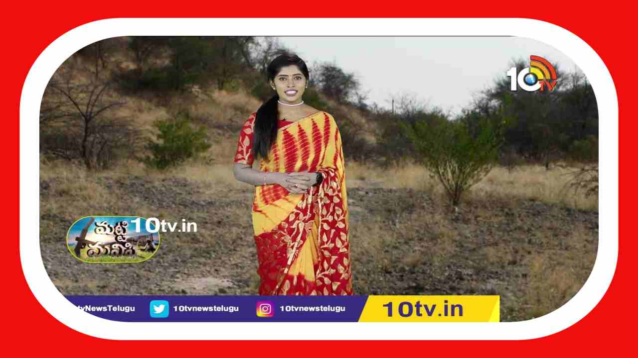 Harvest Season Ahead : పంటకాలం ముందుకు జరుపుకుంటే రైతుకు మేలే ! Harvest Season Ahead : పంటకాలం ముందుకు జరుపుకుంటే రైతుకు మేలే !