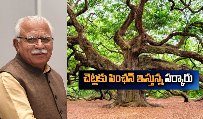 Haryana Govt Trees Pension