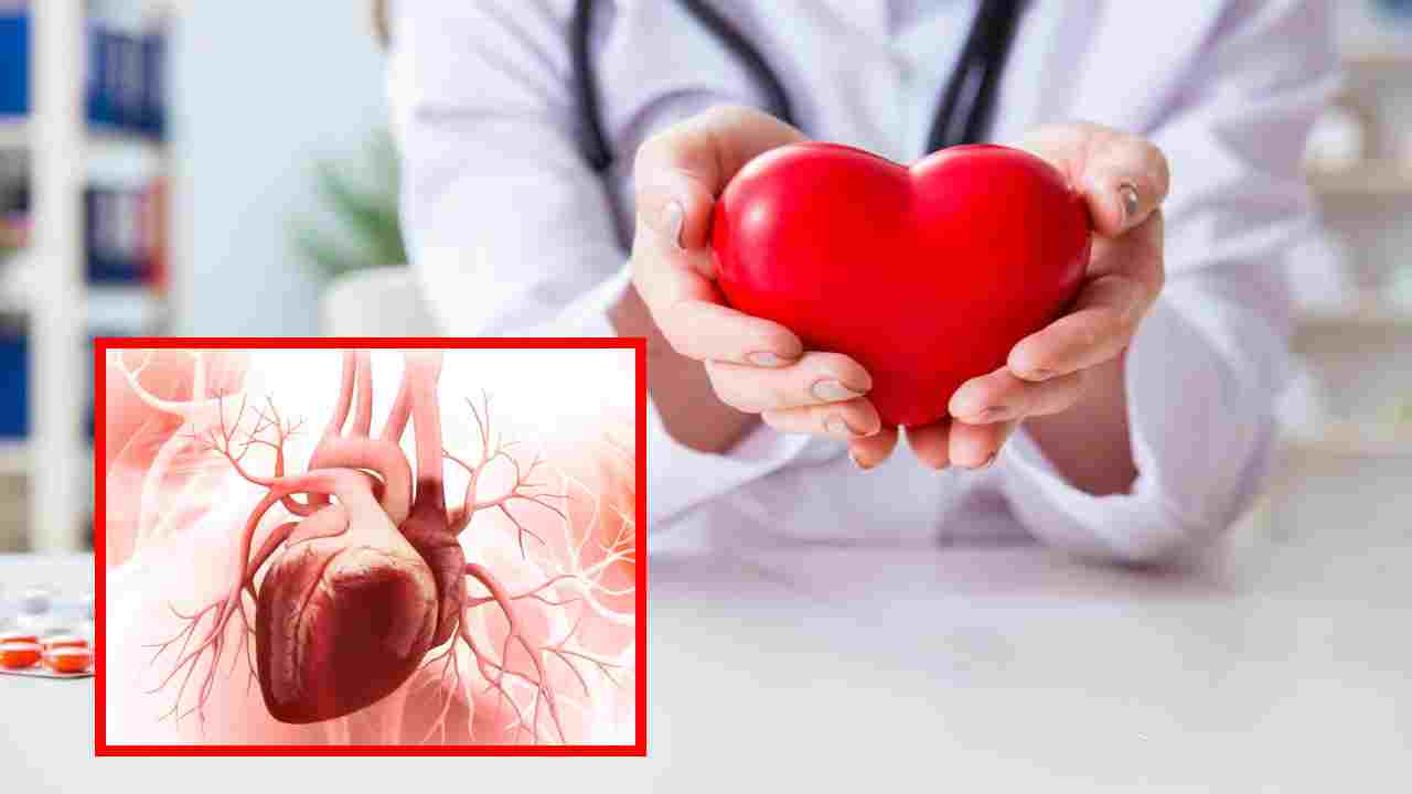 Heart Disease : యువతలో గుండె జబ్బులు పెరగడానికి 4 కారణాలు ! Heart Disease : యువతలో గుండె జబ్బులు పెరగడానికి 4 కారణాలు !