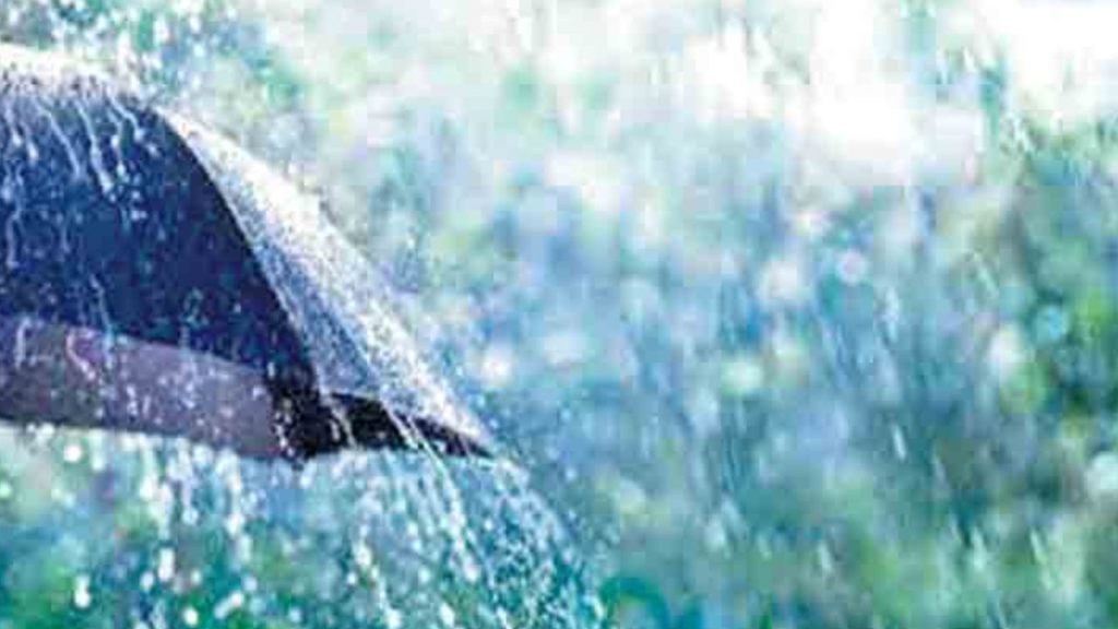 Heavy Rains (4)