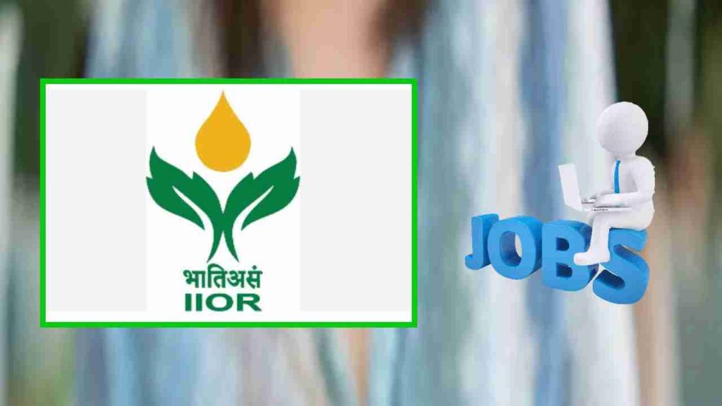 IIOR Job Vacancies