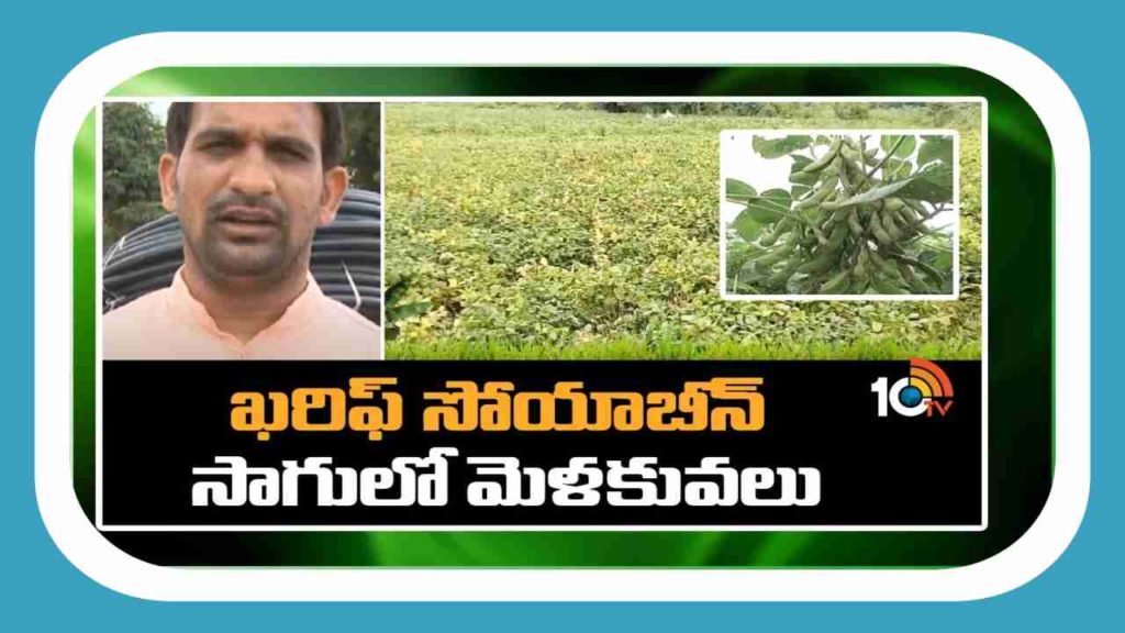 Kharif Soya Cultivation