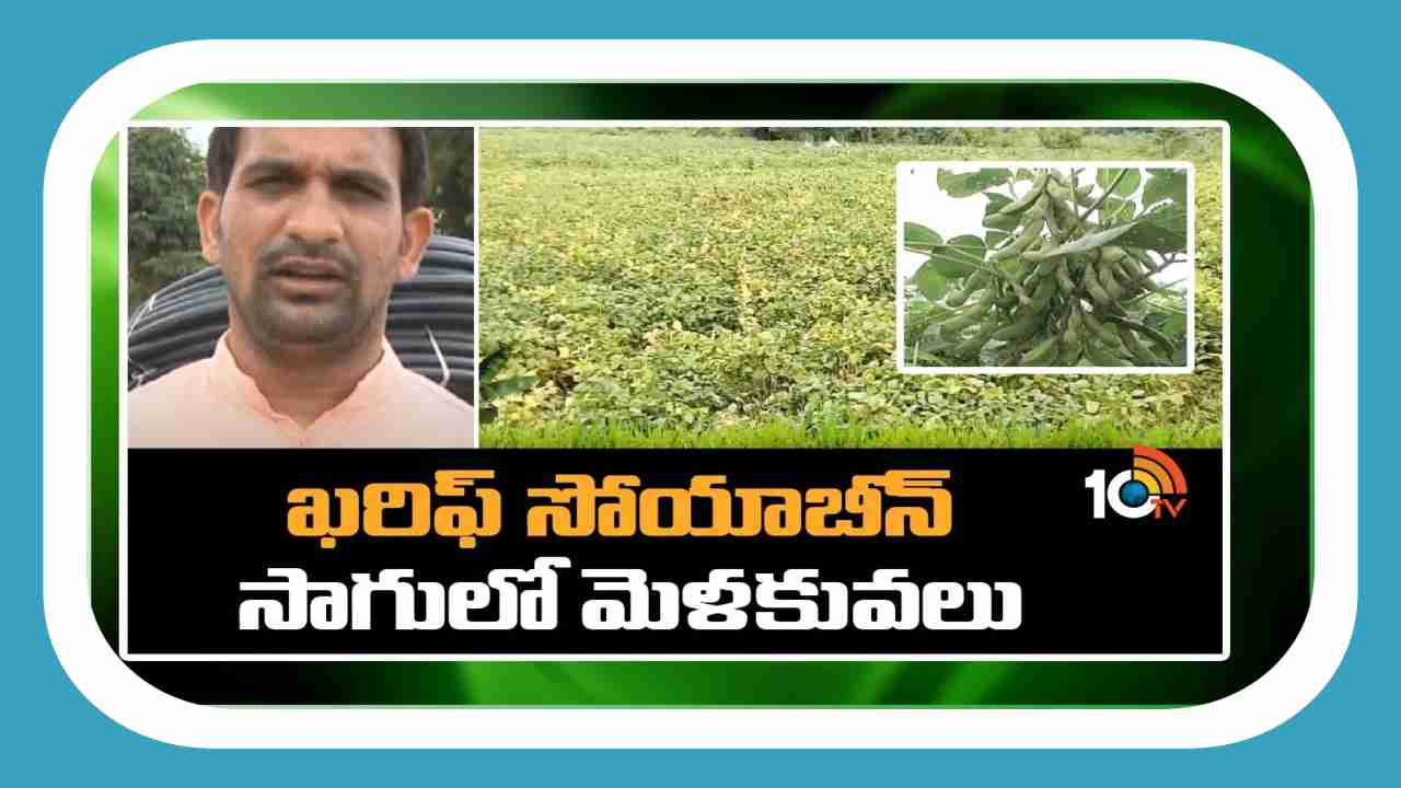 Kharif Soya Cultivation : ఖరీఫ్ లో వర్షాధారంగా సోయాచిక్కుడు సాగు.. విత్తన ఎంపికలో రైతులు తీసుకోవాల్సిన మెళకువలు Kharif Soya Cultivation : ఖరీఫ్ లో వర్షాధారంగా సోయాచిక్కుడు సాగు.. విత్తన ఎంపికలో రైతులు తీసుకోవాల్సిన మెళకువలు