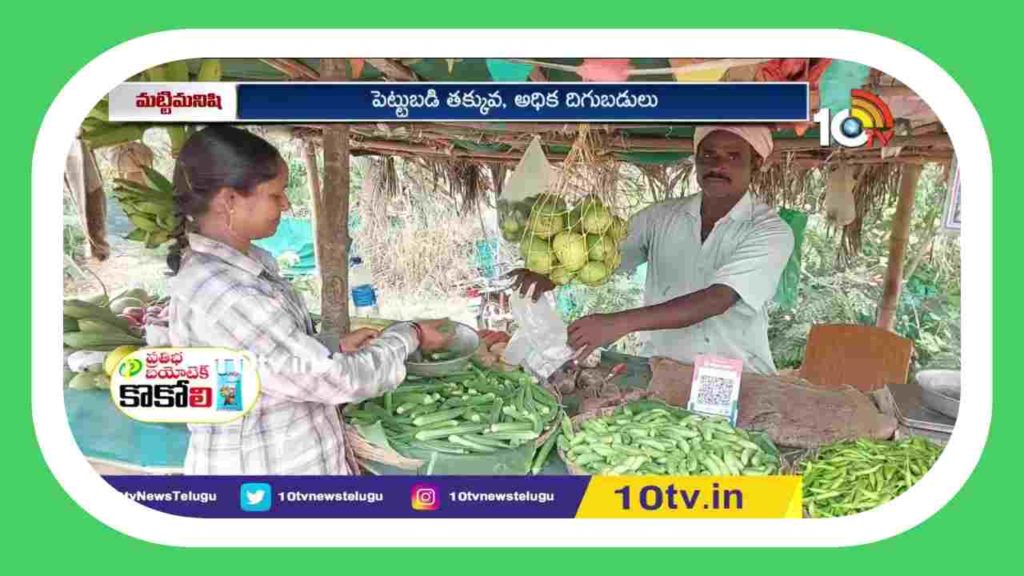 Ladies Finger Cultivation