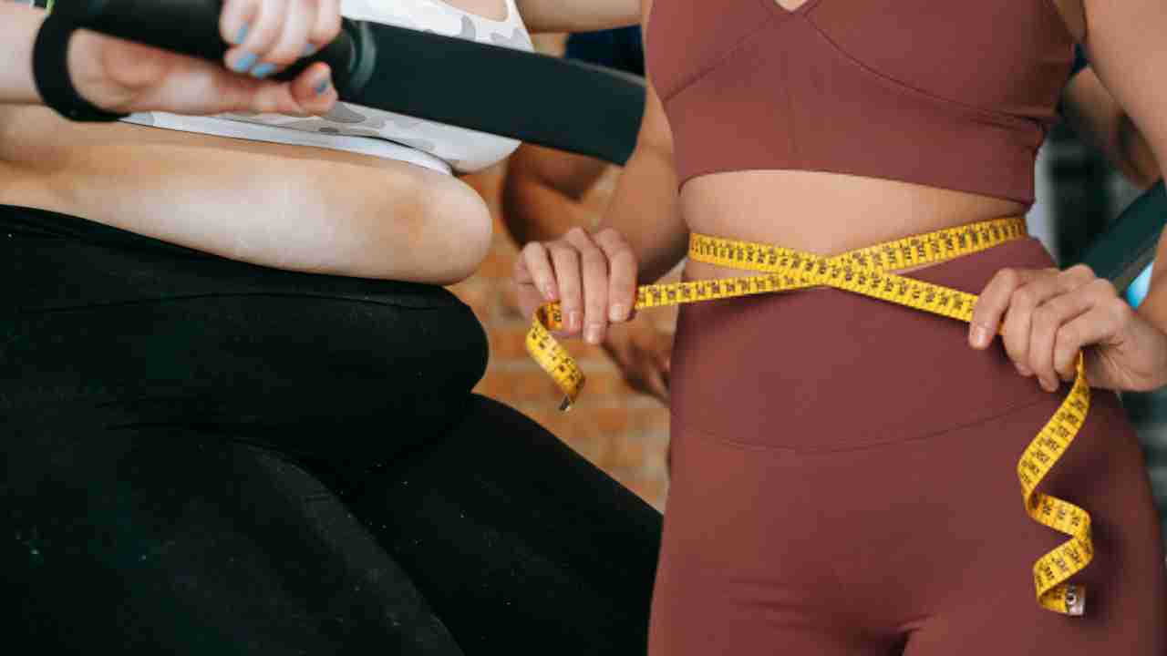 Lose Belly Fat : బెల్లీ ఫ్యాట్ను తగ్గించడానికి వేగవంతమైన మార్గం ఏది? Lose Belly Fat : బెల్లీ ఫ్యాట్ను తగ్గించడానికి వేగవంతమైన మార్గం ఏది?