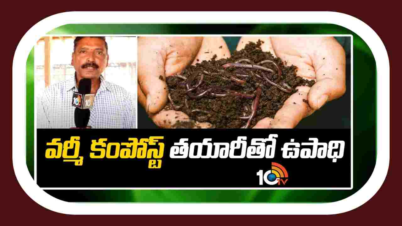 Making Vermicompost : పంటల పాలిట కల్పతరువుగా సేంద్రియ ఎరువులు.. వర్మీకంపోస్ట్ తయారితో స్వయం ఉపాధి Making Vermicompost : పంటల పాలిట కల్పతరువుగా సేంద్రియ ఎరువులు.. వర్మీకంపోస్ట్ తయారితో స్వయం ఉపాధి