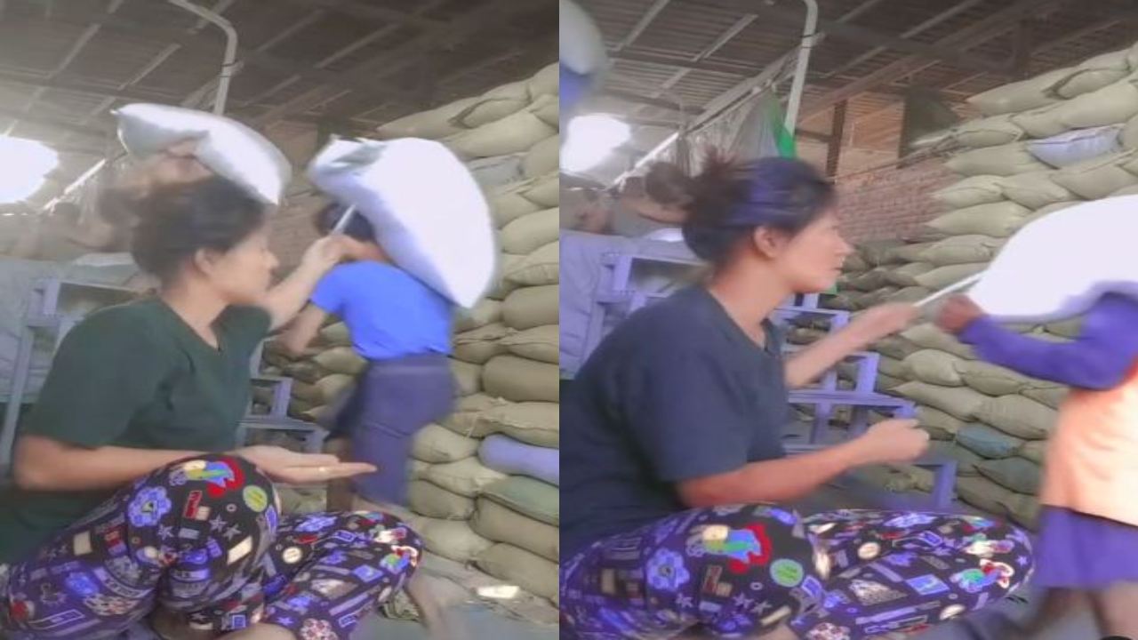 Rice bag inspection : బియ్యం నాణ్యత చూసే విధానం ఇంత భయంకరంగా ఉంటుందా? Rice bag inspection : బియ్యం నాణ్యత చూసే విధానం ఇంత భయంకరంగా ఉంటుందా?